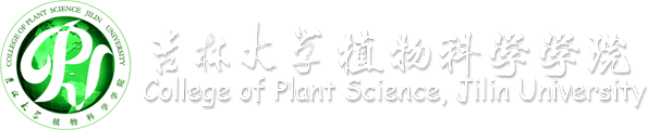 9159金沙官网